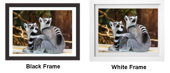 Select Your Frame
